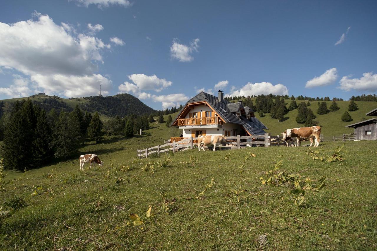 Apartment Jezerca - Krvavec Cerklje na Gorenjskem Bagian luar foto